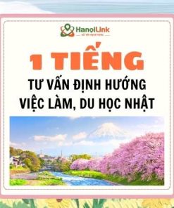 61. 1 Tiếng tư vấn về định hướng việc làm, du học Nhật Bản