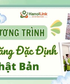 80. Kỹ năng đặc định Nhật Bản